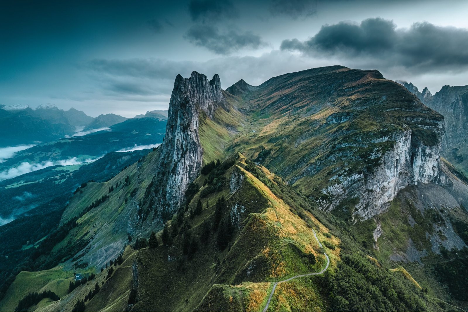 Read more about the article The Wilderness Crucible